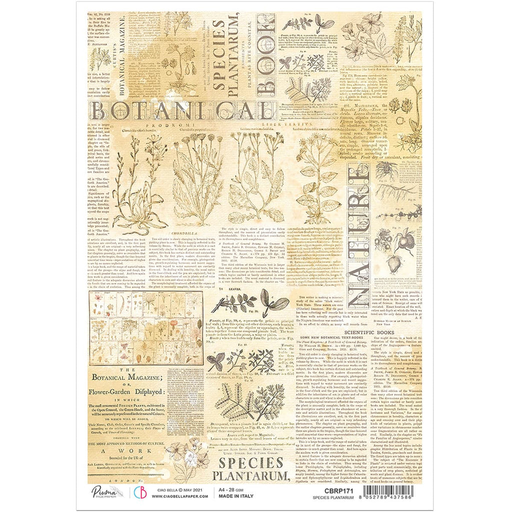 Ciao Bella A4 Rice Paper - Book of Dried Flowers [CBRP172]