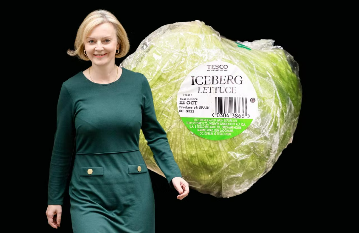 LIZ TRUSS LETTUCE