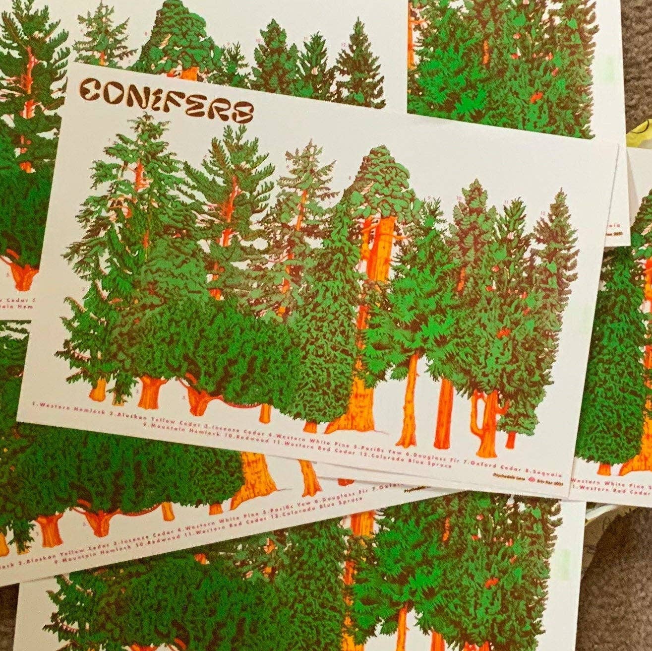  Conifer Tree Riso Poster 