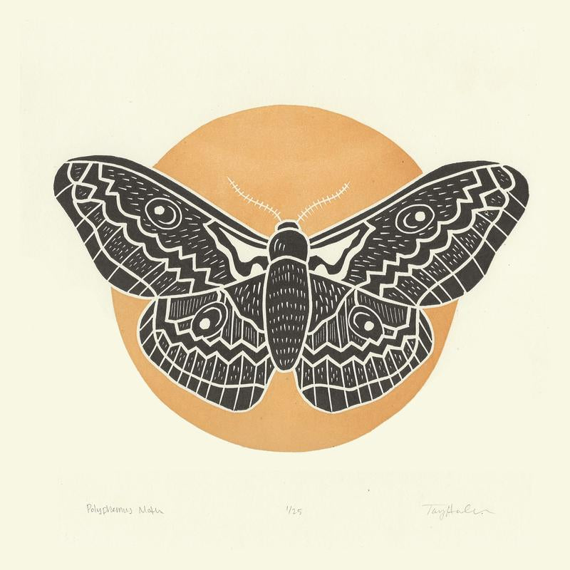  Polyphemus Moth #17 of 25 - Letterpress Print by Coxswain Press 