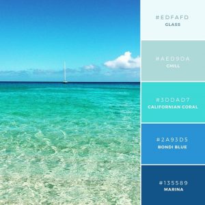 Turquoise Ocean Palette