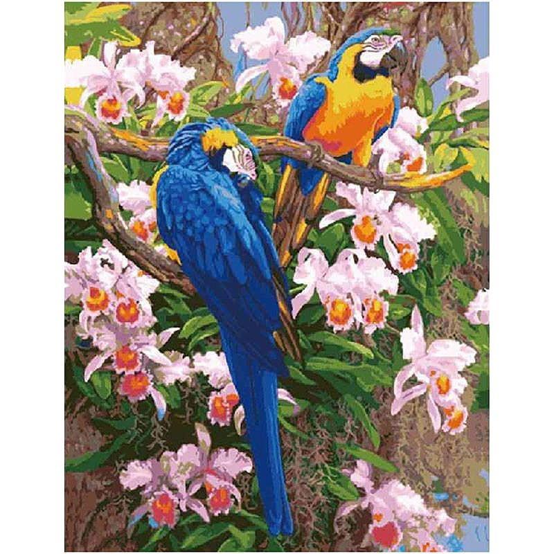 Parrots And Flowers DIY Painting By Numbers Kits Paint Number Shop   337 1800x1800 