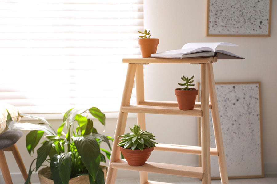 a decorative ladder holding plants