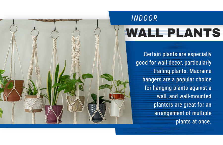 indoor wall plants