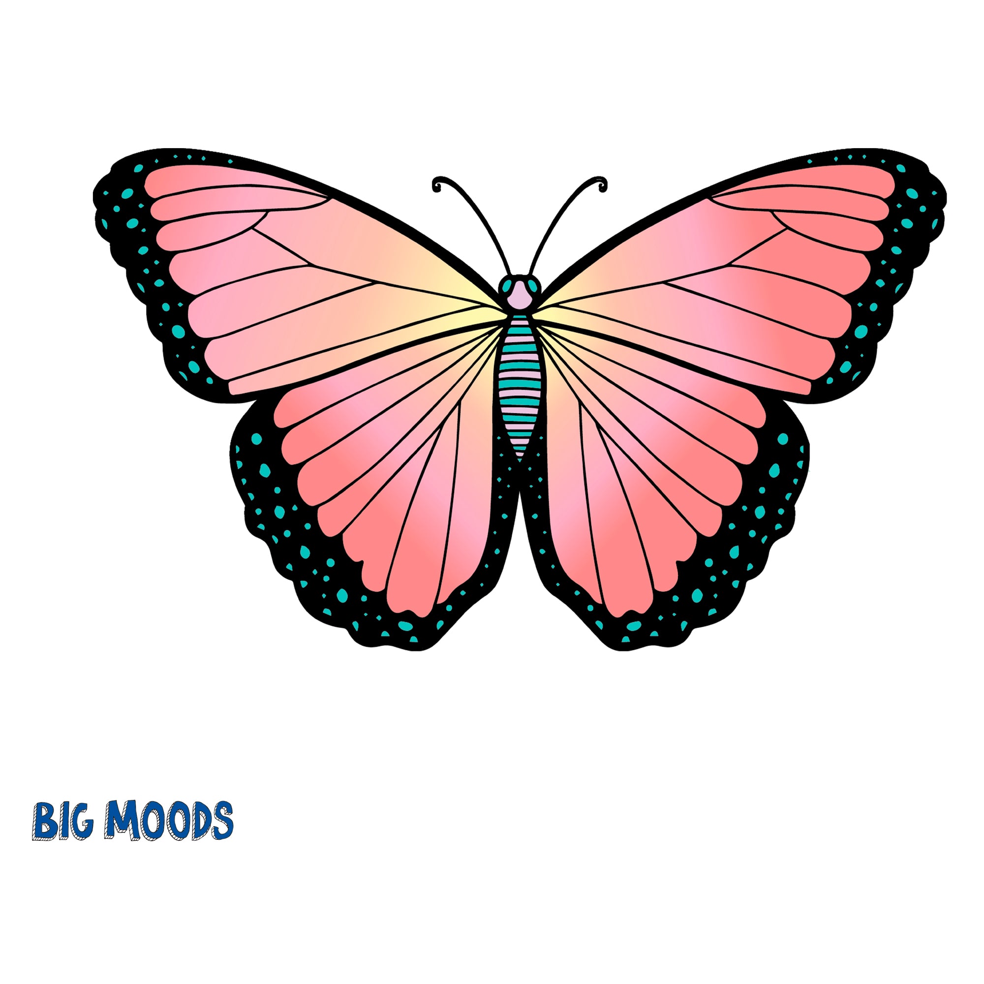 Buy Big Beautiful Butterflies Artwork at Lowest Price By Cheryl P