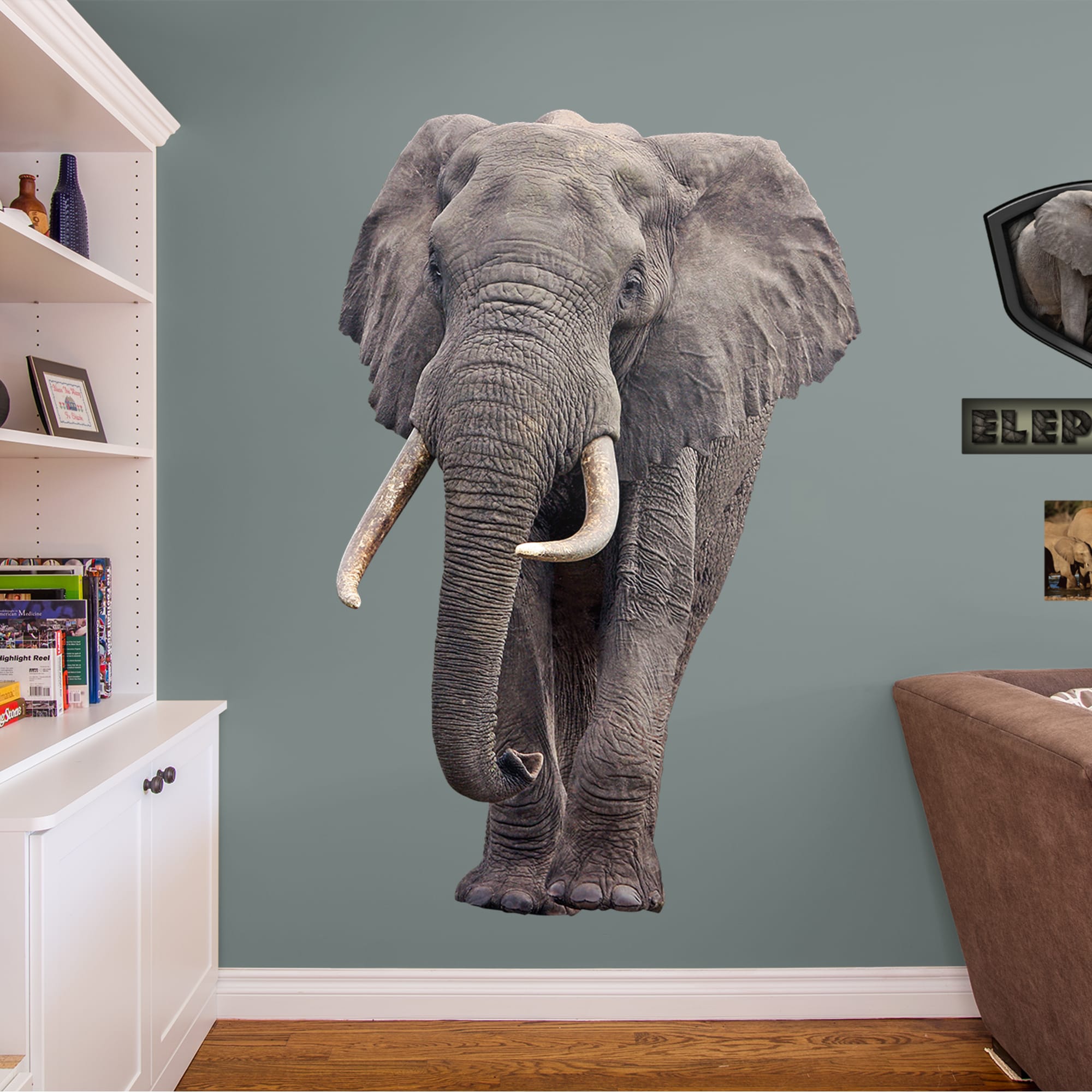 Elephant - Removable Vinyl Decal Huge Animal + 3 Decals (51"W x 78"H) by Fathead