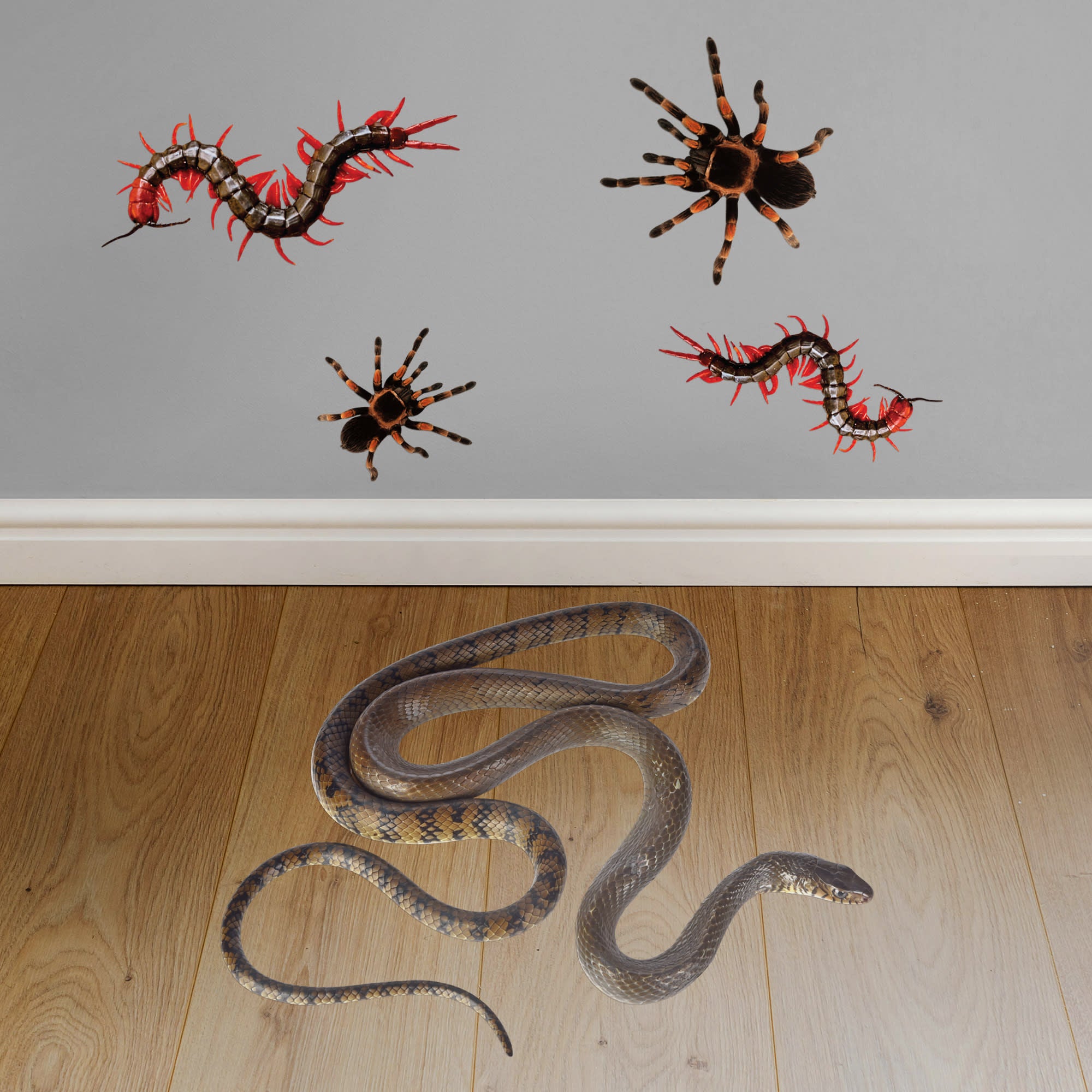 Creepy Crawlers Collection - Removable Vinyl Decal 12.0"W x 17.0"H by Fathead