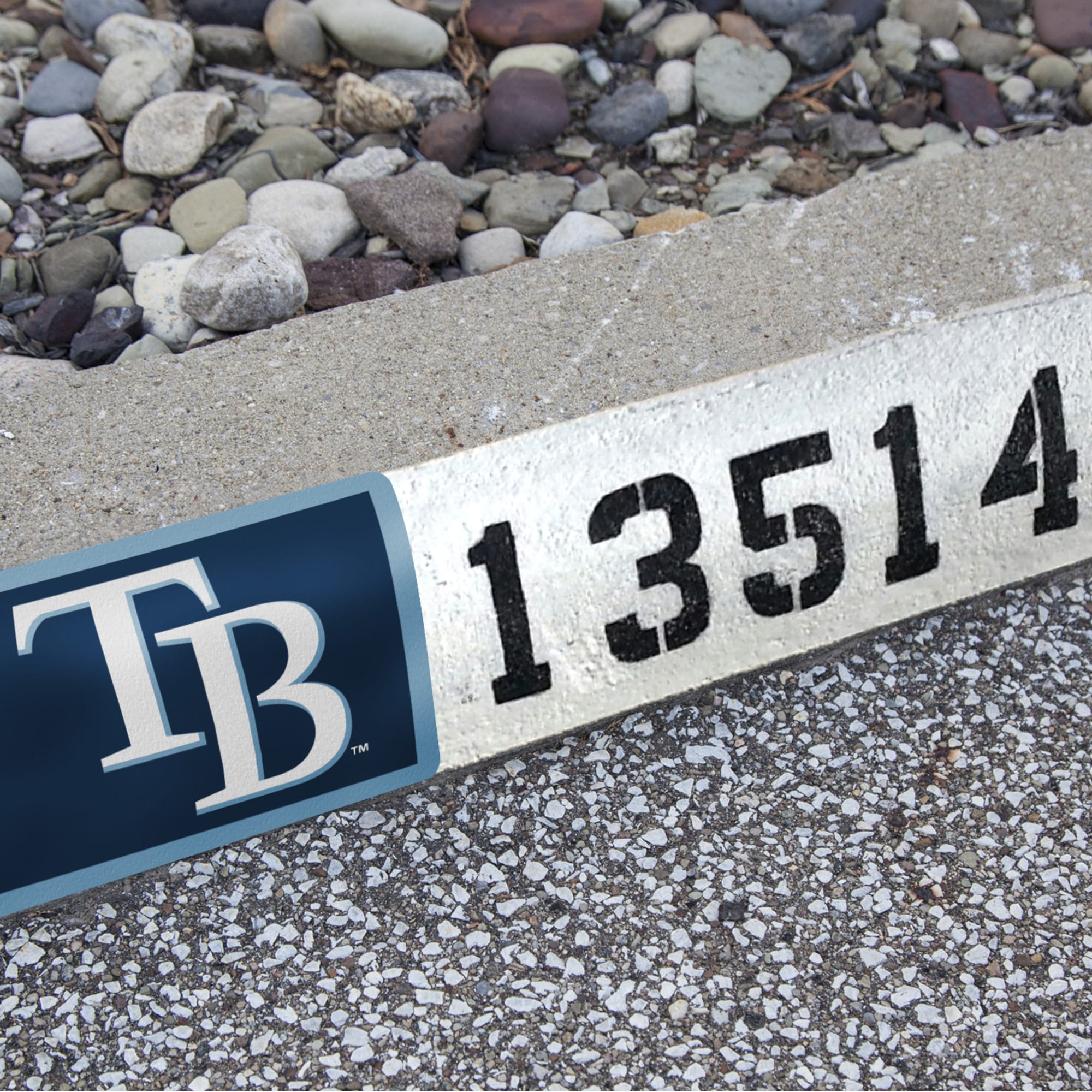 Tampa Bay Rays: Address Block - Officially Licensed MLB Outdoor Graphic 6.0"W x 8.0"H by Fathead | Wood/Aluminum
