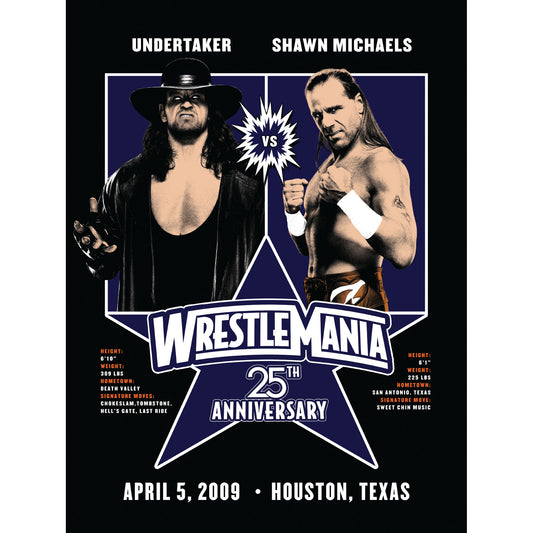 wrestlemania 9 poster