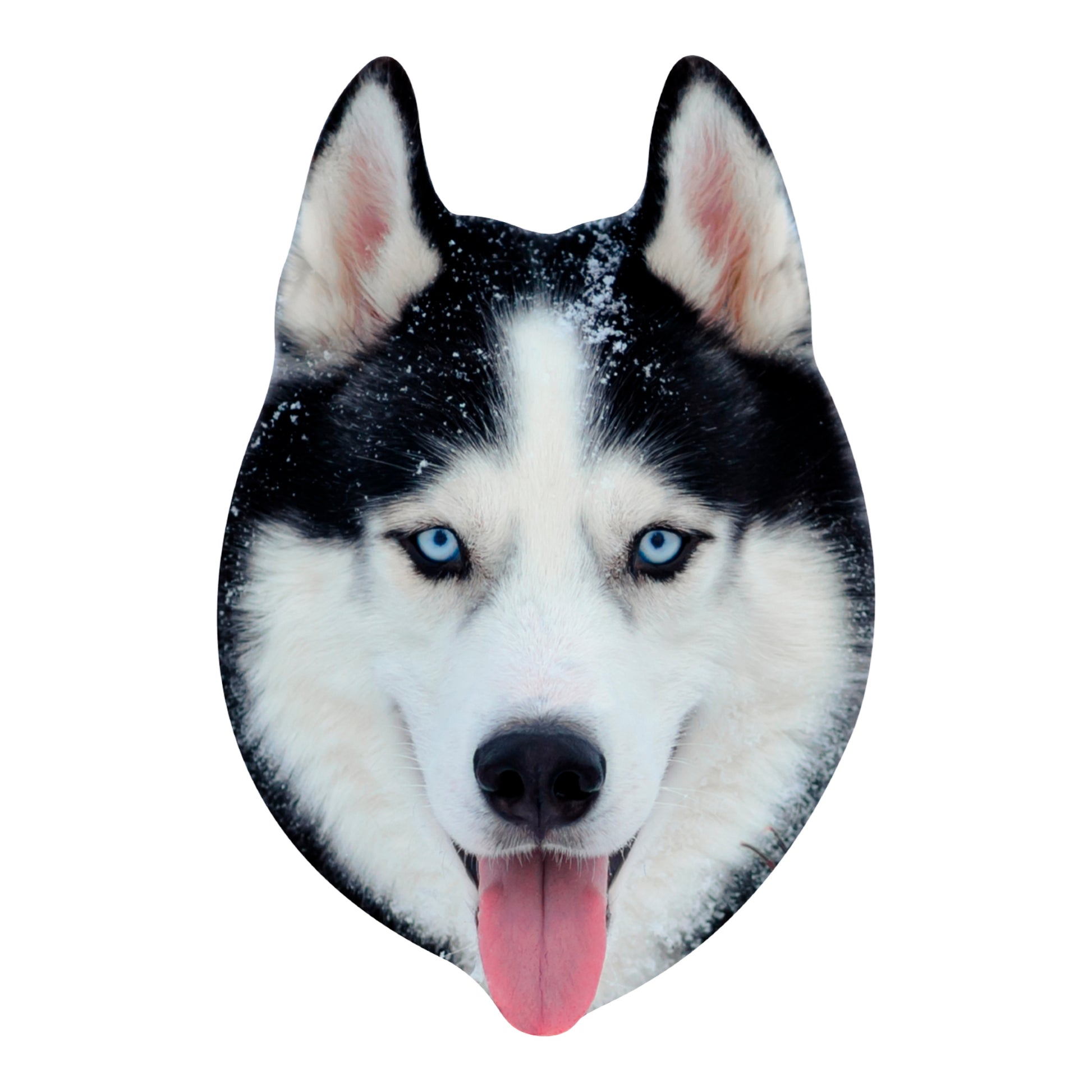 how much is a purebred husky