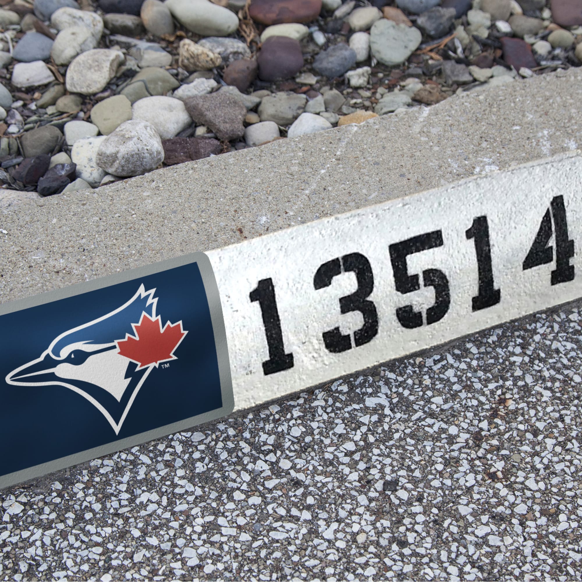 Toronto Blue Jays: Address Block - Officially Licensed MLB Outdoor Graphic 6.0"W x 8.0"H by Fathead | Wood/Aluminum