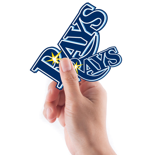 Tampa Bay Rays Baseball Vinyl Die-cut Decal Bumper Sticker 