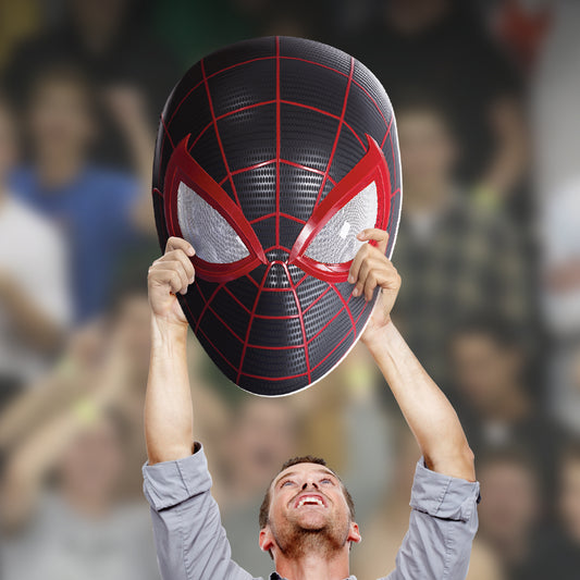 Spidey and his Amazing Friends – Fathead