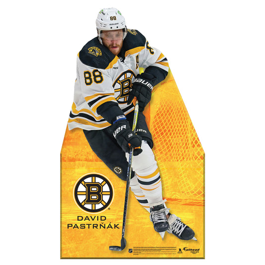 Boston Bruins: Charlie McAvoy Life-Size Foam Core Cutout - Officially  Licensed NHL Stand Out