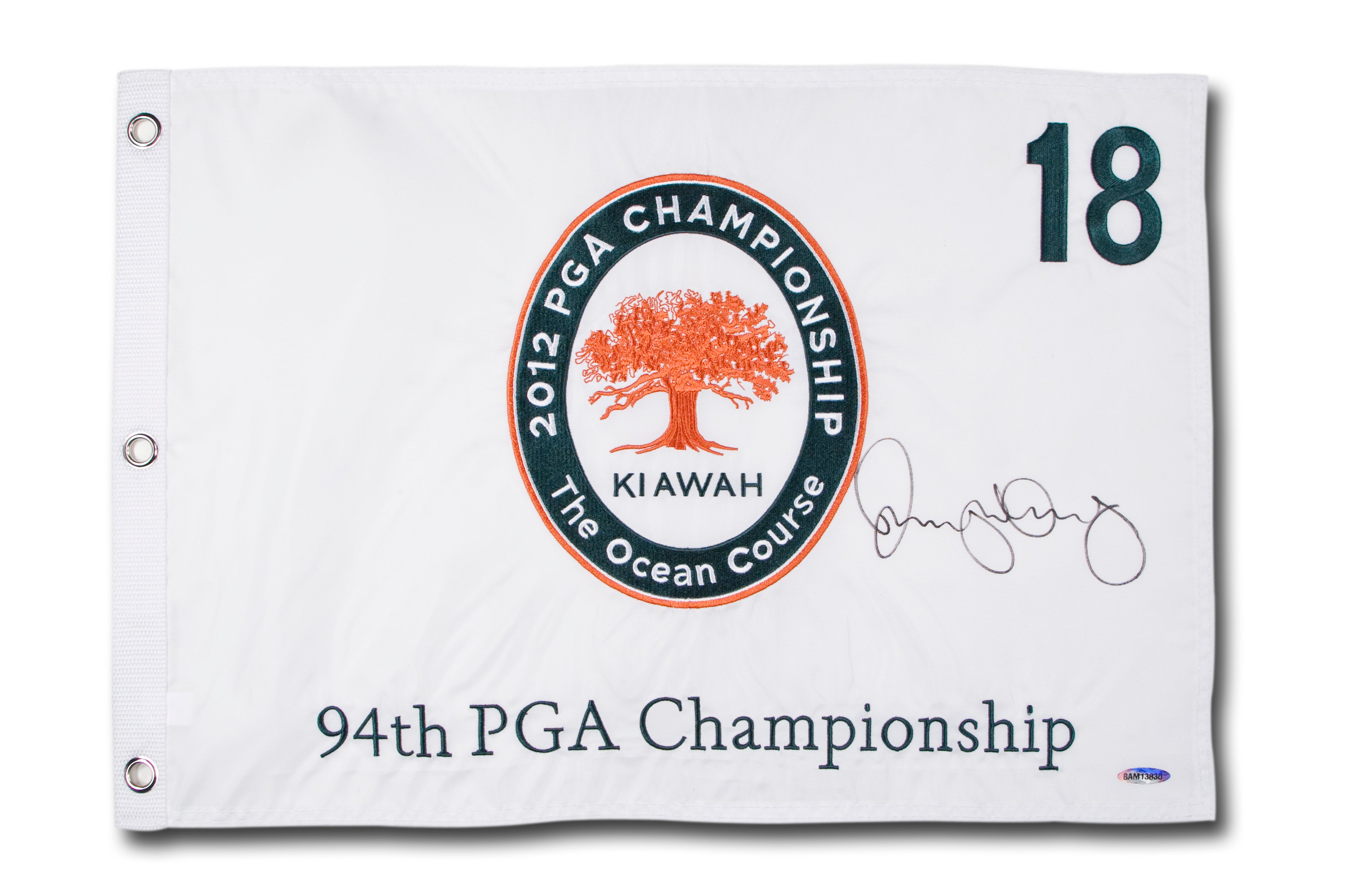 Rory Mcilroy 2012 Pga Embroidered Pin Flag Autograph by Fathead | Wood