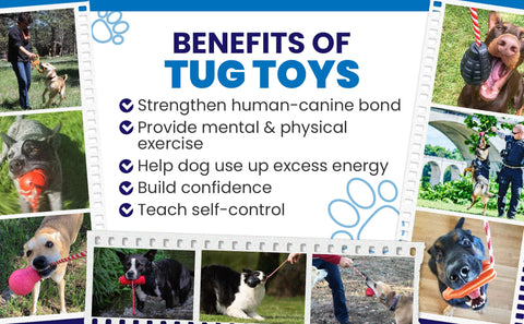 Does playing Tug of War come naturally to dogs? – Tagged BRAND_USA-K9