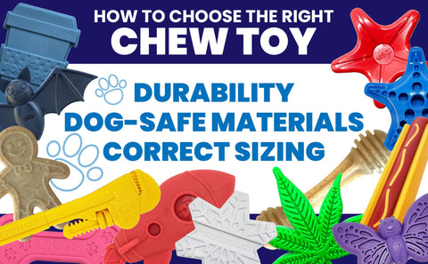 https://cdn.shopify.com/s/files/1/0279/0569/files/EBC_4_-_Standard_Image_Header_with_Text_-_SodaPup_-_Chew_Toys_1_480x480.jpg?v=1660585257