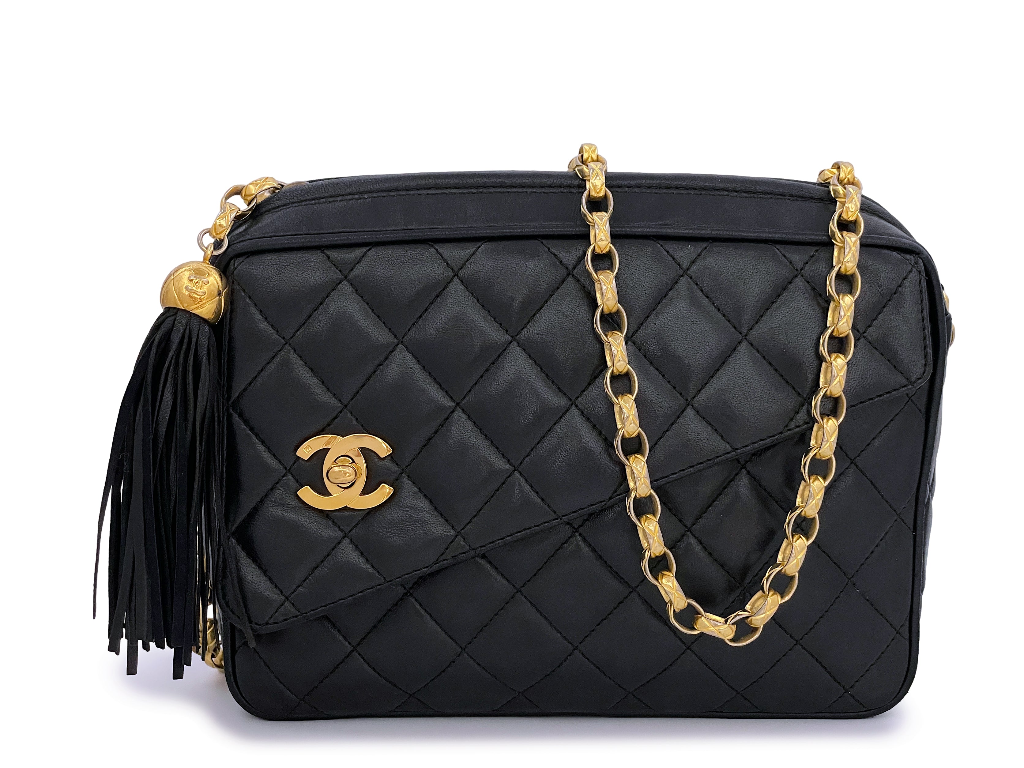 Vintage Chanel Camera Case Bags