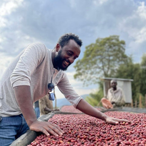 Ethiopia Pink Sidama Elto Coffee