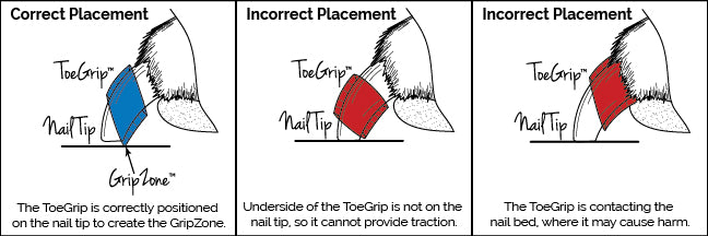 ToeGrips Correct Placement Diagram