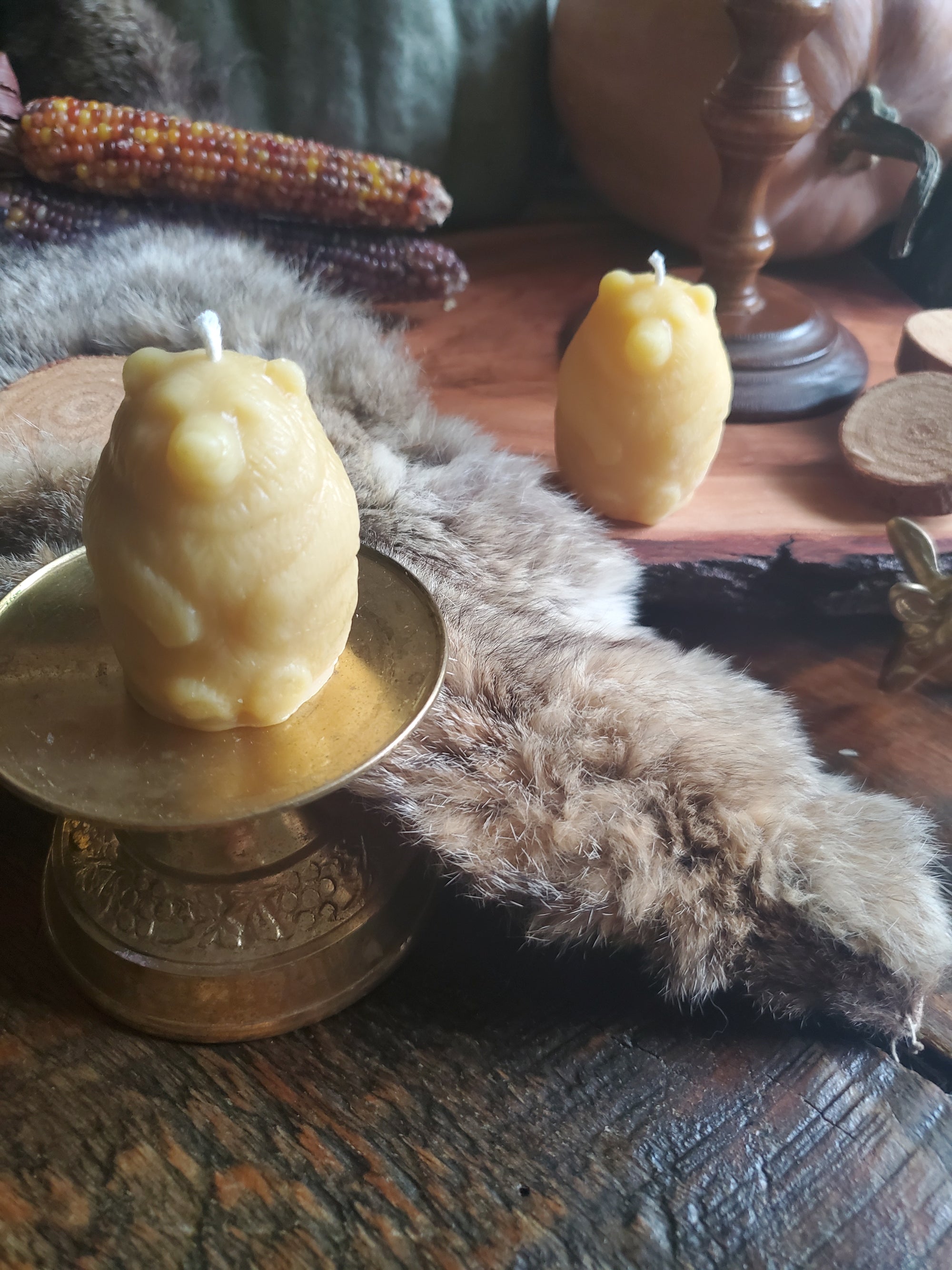 Wolf Beeswax Pillar Candle / 100% All Natural Bees Wax Candles / Wild  Wolves / Animal / Zoo / Northern / Handmade in USA / Forest Mammal NEW
