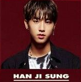 Han stray kids