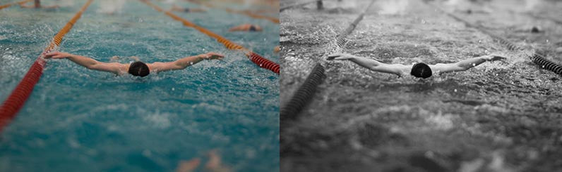 Swimming Collage 2