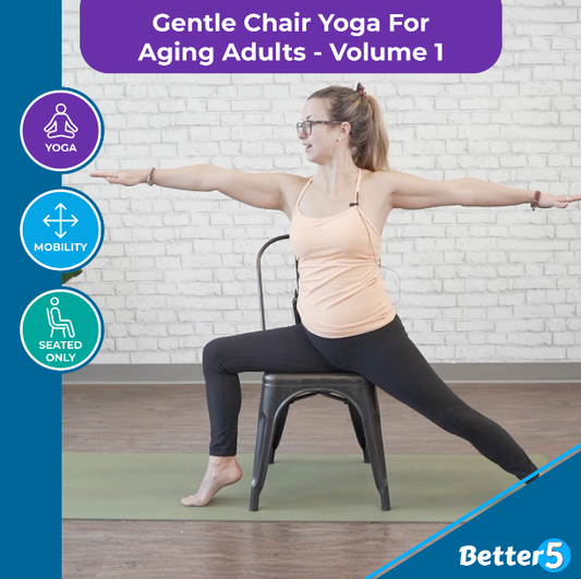  CHAIR YOGA FOR SENIORS DVD + Poster + Bonus Yoga DVD