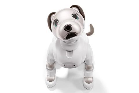 smart robot puppy