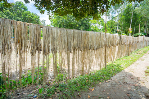 Jute fiber hung over bamboo rafters, drying in the syn