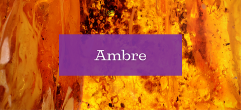 Collection Ambre