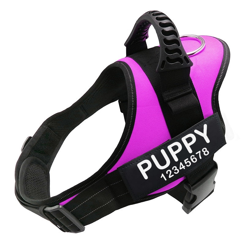 19 Droll Dog Harness With Name Photo 4K - au.bleumoonproductions