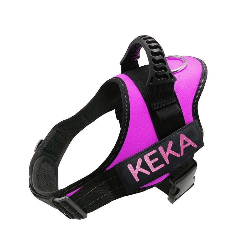 personalized dog harness