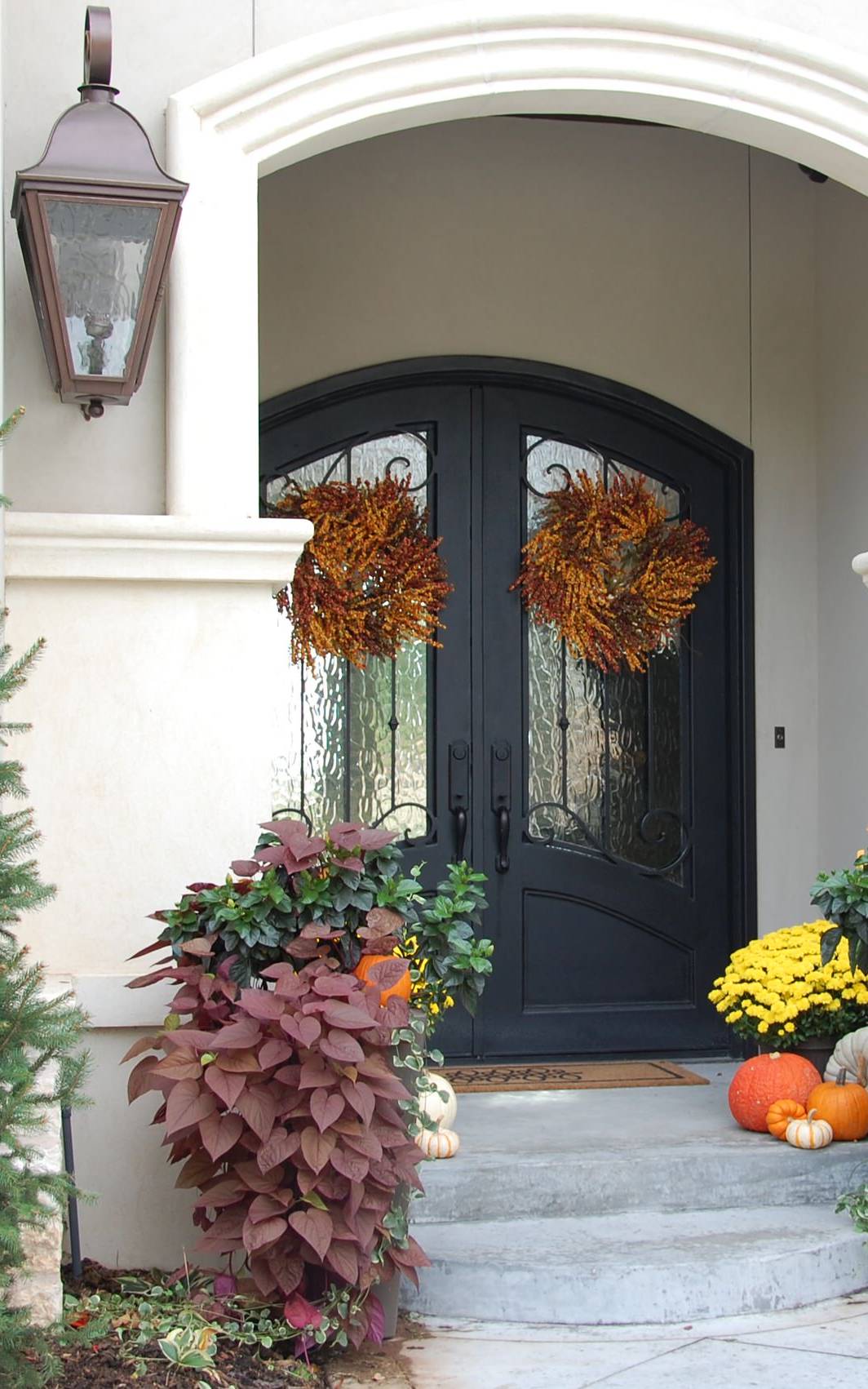 custom-iron-double-door-arched-top-matte-black