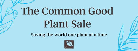 The Common Farm Flowers Common Good Plant Sale -  a worldwide movement to raise money for horticultural charities