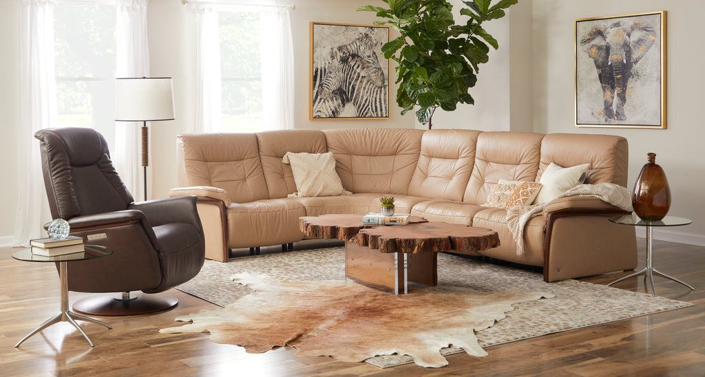 Modern sofa leather