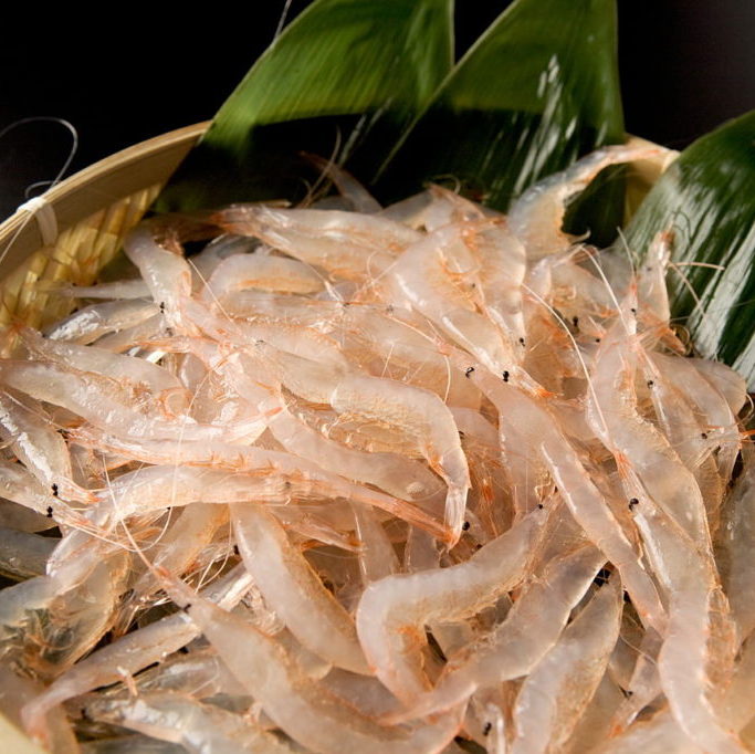 Green Onion Shoots (Menegi) 20g 新鮮日本芽葱 – Fukuya Japanese Food