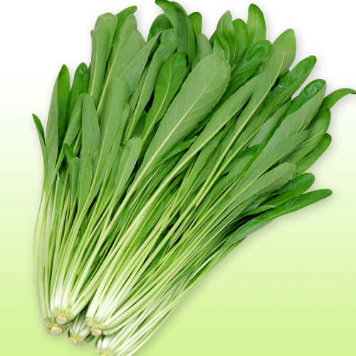 Green Onion Shoots (Menegi) 20g 新鮮日本芽葱 – Fukuya Japanese Food