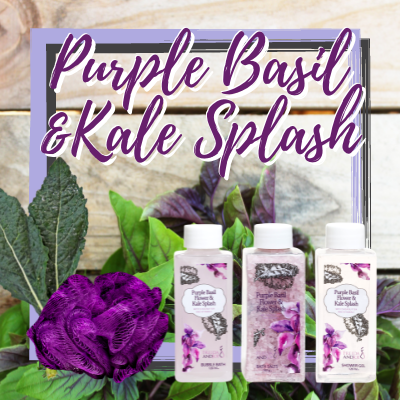 Purple Basil and Kale Splash Fragrance