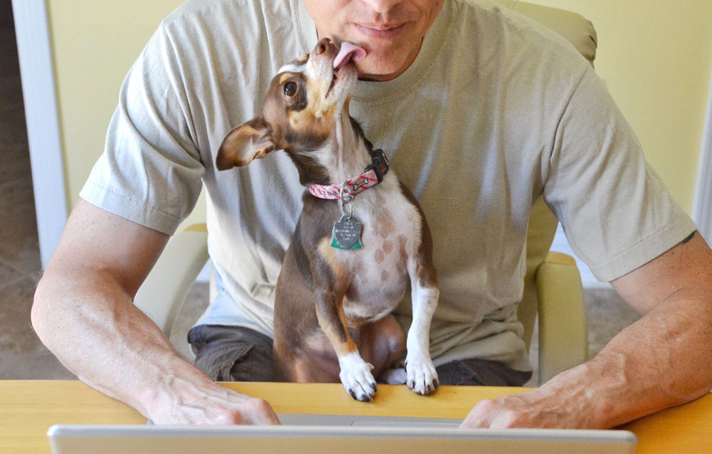 puppy has fishy breath