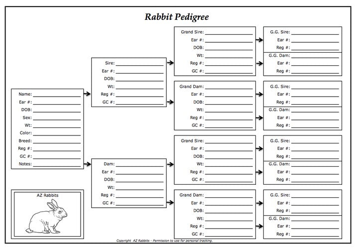 RabitPedigree