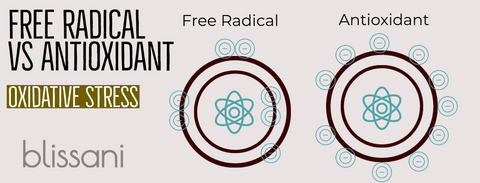 Free Radical vs Antioxidant graphic with a model of a normal molecule and a molecule with a free radical attached.  Which demonstrates the effects of antioxidants on free radicals.