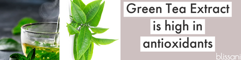 A cup of green tea and a green tea plant "Green Tea is High in Antioxidants"