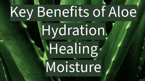 An aloe plant with the text "Key Benefits of Aloe: Hydration, Healing, Moisture"