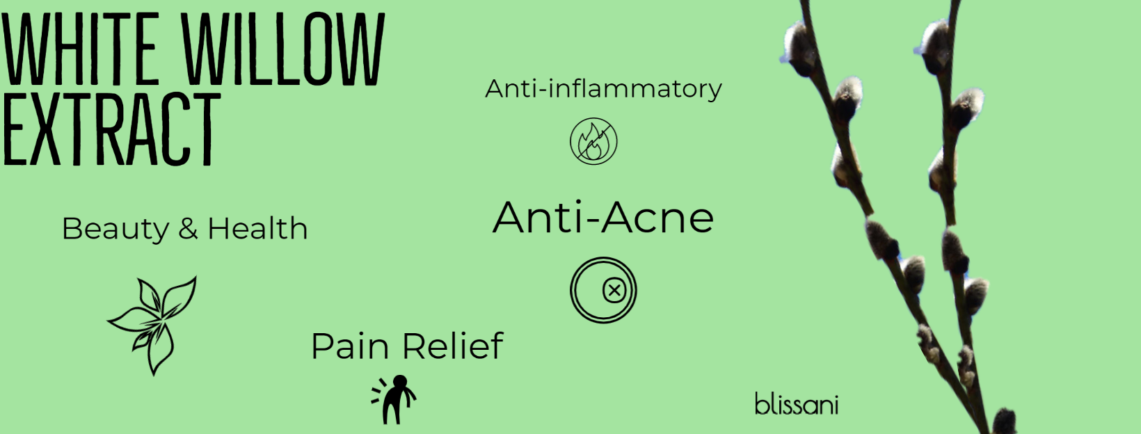 White Willow extract benefits infographic anti-acne and anti-inflammatory links to white willow extract vs acne blog article by blissani naturals