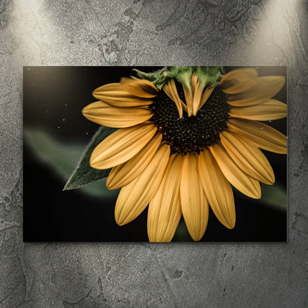 Spread Happiness and Positivity with Our Beautiful Collection of Sunflower  Wall Art - by Tailored Canvases - Wall Art - Canvas Prints, Wall Decor &  Signs | Tailored Canvases