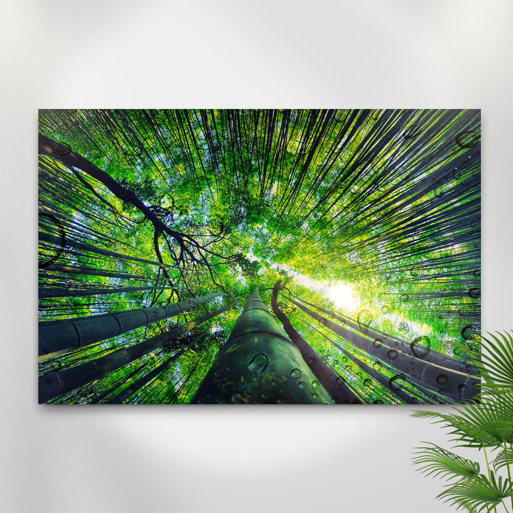 Light Through Bamboo Forest Art Canvas (READY TO HANG) - by Tailored Canvases