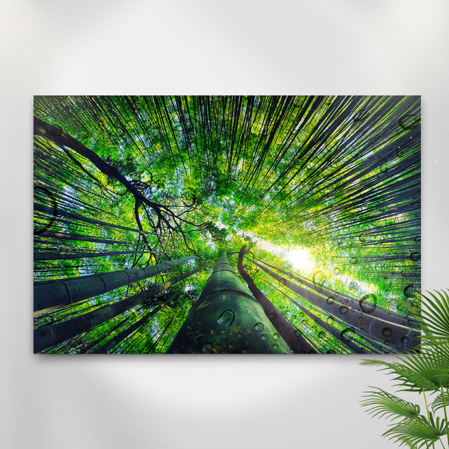 Light through Bamboo Forest Art Canvas - Wall Art Image by Tailored Canvases