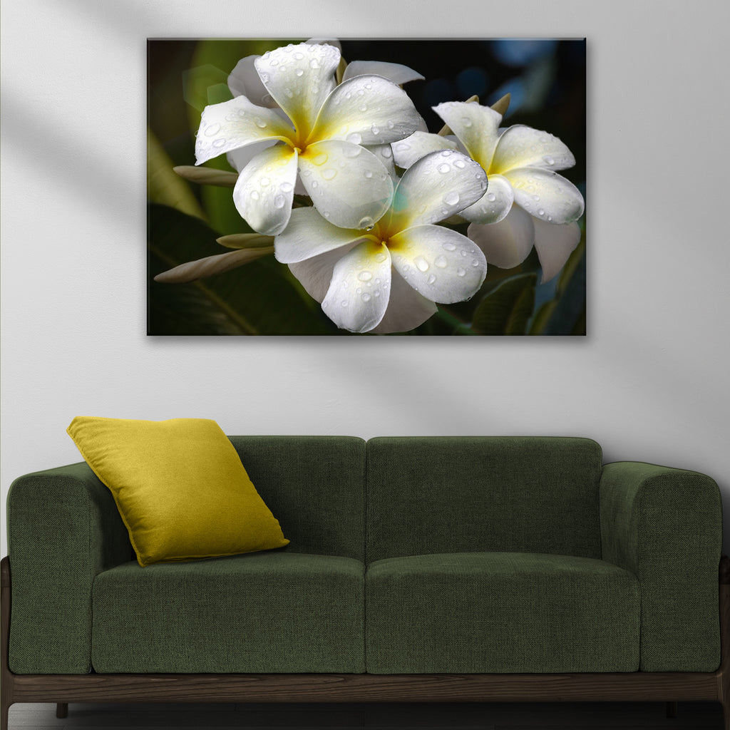 White Frangipani Flower Canvas Wall Art - Image by Tailored Canvases