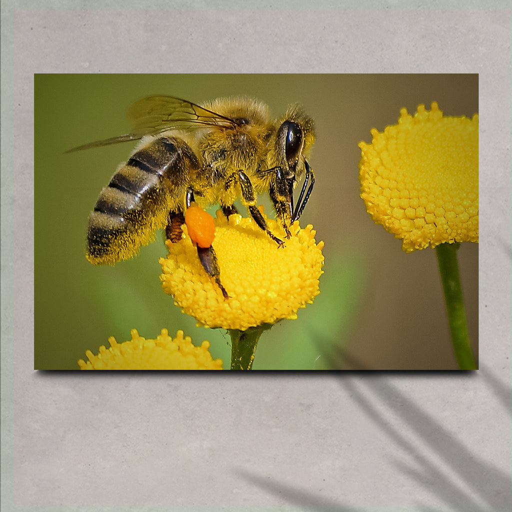 Working Honey Bee Canvas Wall Art - by Tailored Canvases